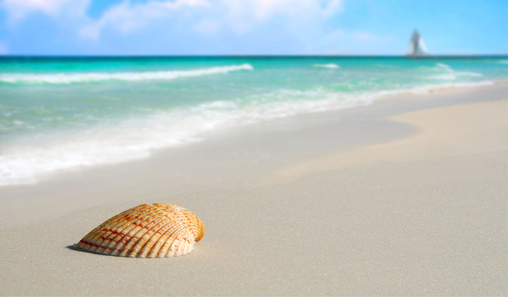 banner-image